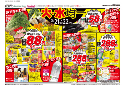 3/21号 チラシ