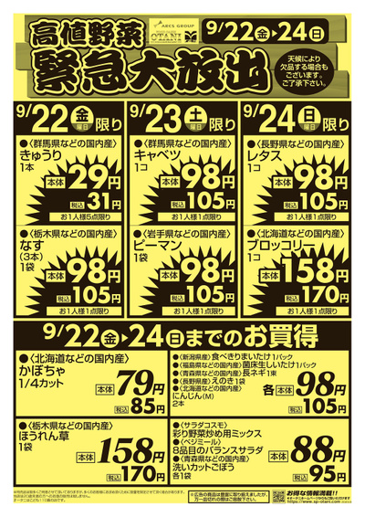 高値野菜 緊急大放出!お買得なこの機会をお見逃しなく!