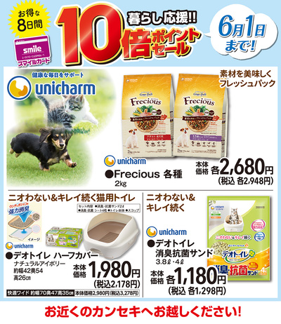 10倍ポイント(6/1日まで!)