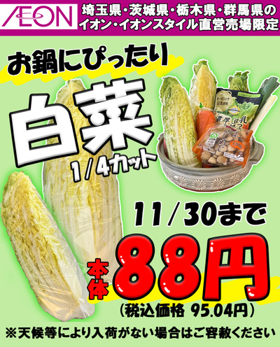 【11/30まで】茨城県・栃木県・群馬県・埼玉県のイオン・イオンスタイルで白菜1/4カットが88円