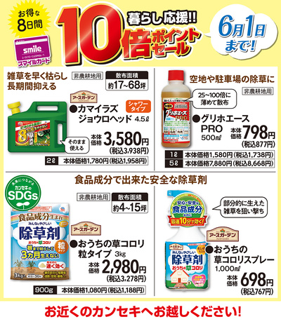10倍ポイント(6/1日まで!)