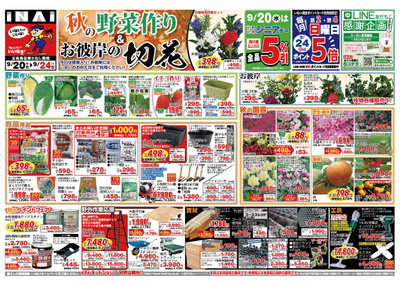 9月20日号 秋の野菜作り&お彼岸の切花 表