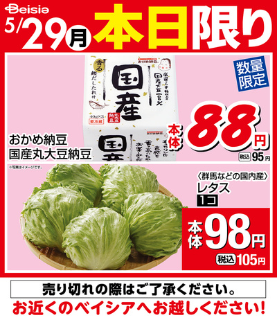 5/29限りのお買い得!