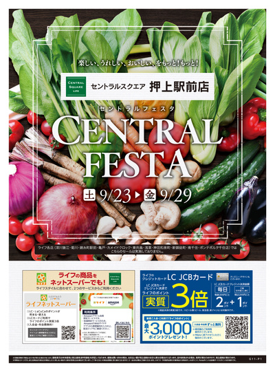9/23号