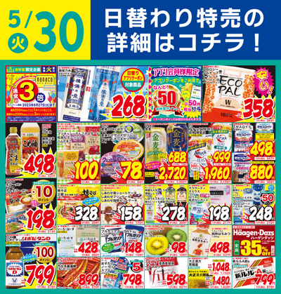 5/30日替